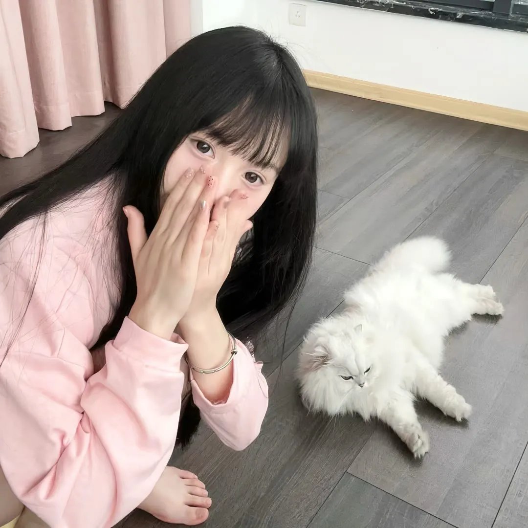 满月疑云
