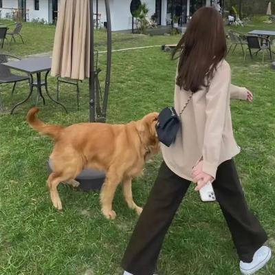 一人之下·锈铁重现